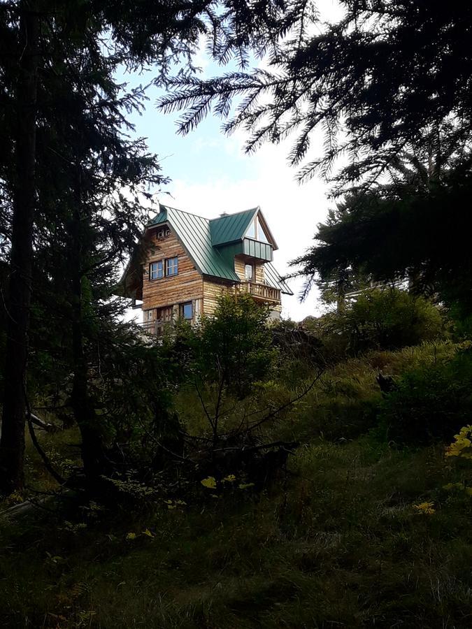 Mountain Story Apartment Žabljak Εξωτερικό φωτογραφία