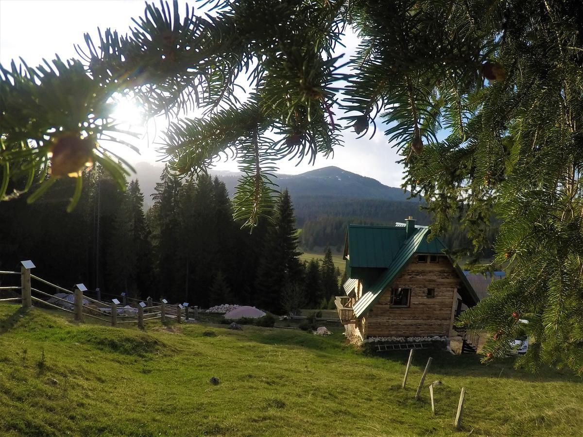 Mountain Story Apartment Žabljak Εξωτερικό φωτογραφία